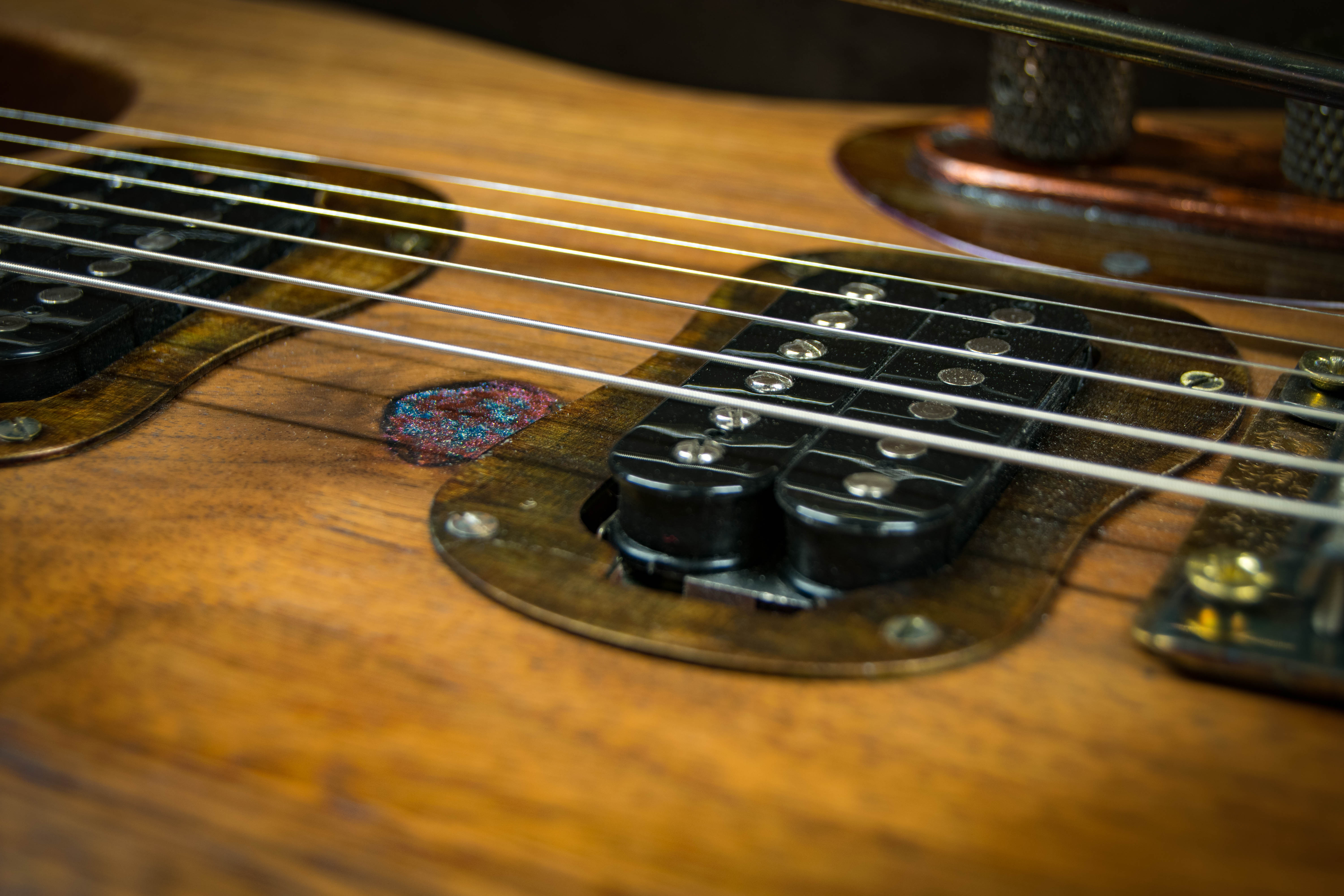 Vita Nova Electric Guitar - Virgo Guitars